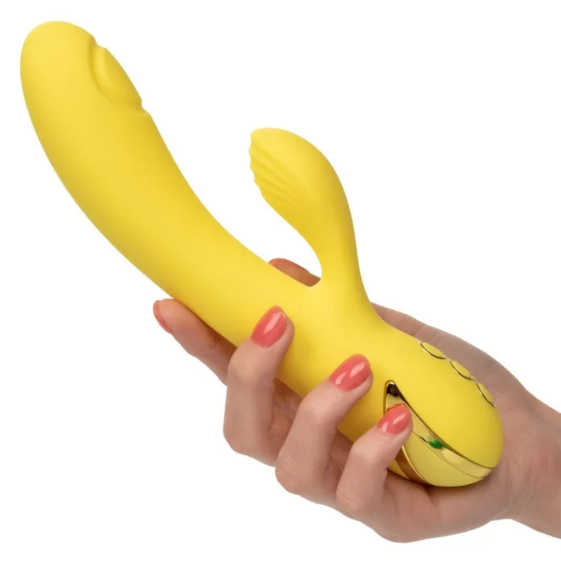 Calexotics California Dreaming San Diego Seduction