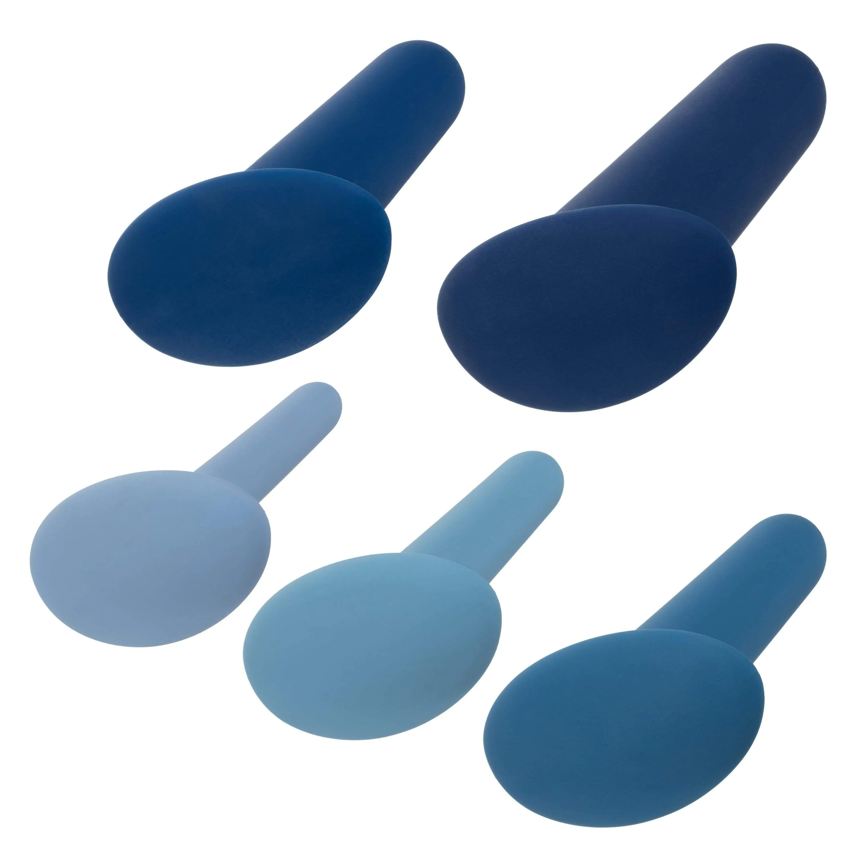 California Exotics - Theyology 5 Piece Wearable Anal Training Set (Multi Colour)