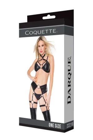 Coquette Halter Top & Crotchless Garter Panty