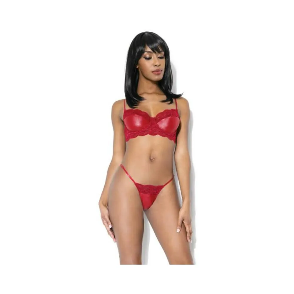 Lace And Matte Wetlook Bra And G-string Merlot L/xl Hanging