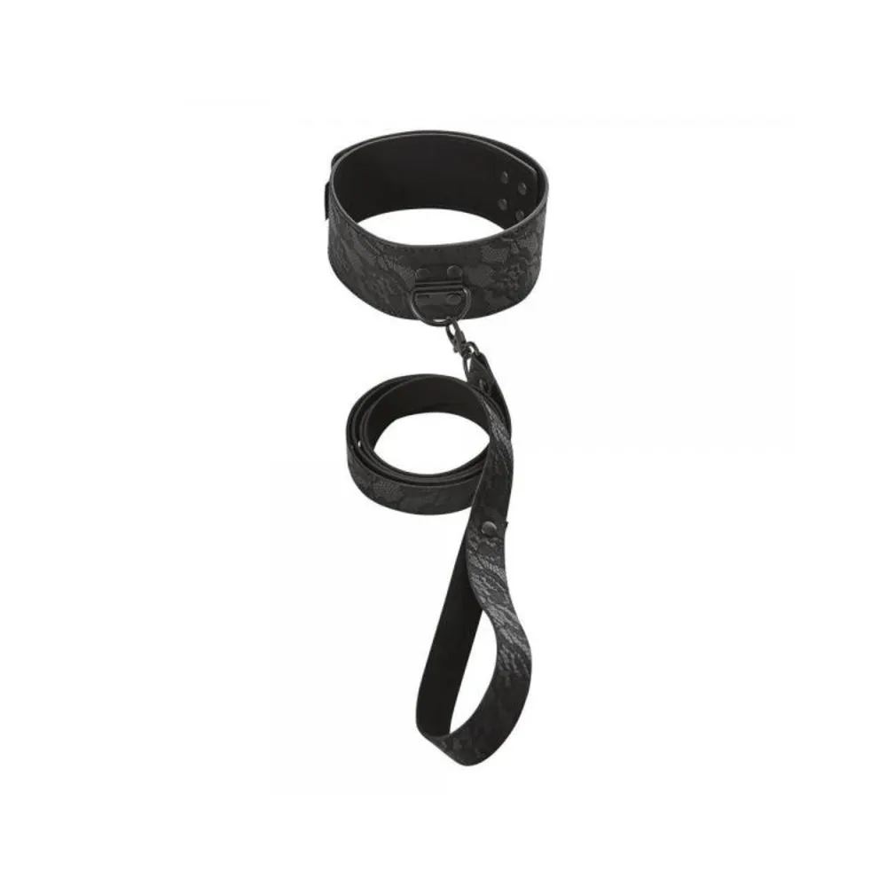 Sincerely. Ss Locking Lace Collar & Leash