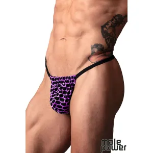 Sting Me Daddy Posing Strap G-String for Men by Male Power